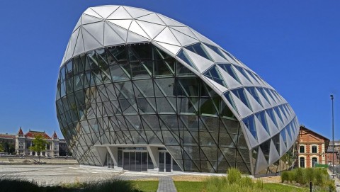 cet, bálna (cet, bálna)