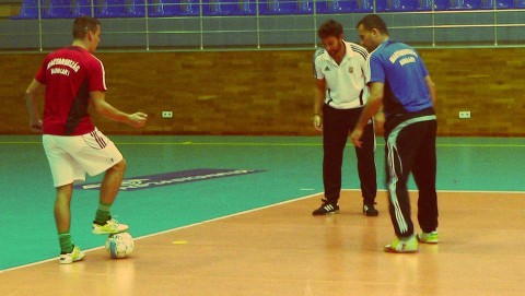futsal (futsal, )