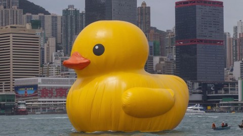 gumikacsa hong kongban (gumikacsa, hongkong, )