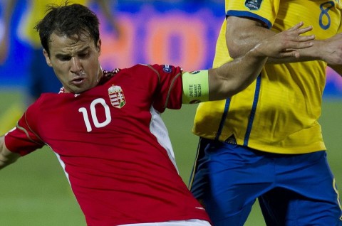 hajnal tamás (hajnal tamás, )