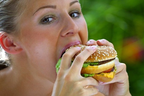 hamburger (hamburger)