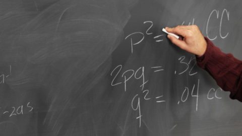 iskolai tábla (tanár, )