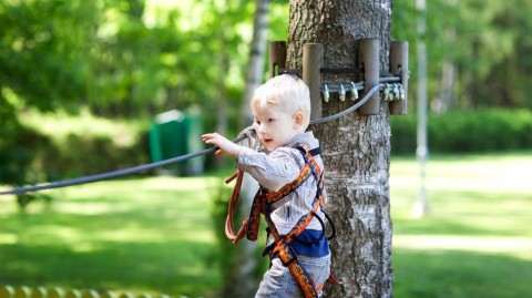 kalandpark(210x140)(1).jpg (kalandpark, )