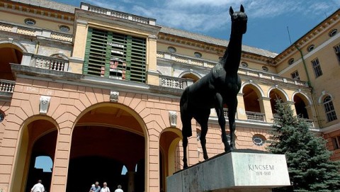 kincsem park (kincsem park, )