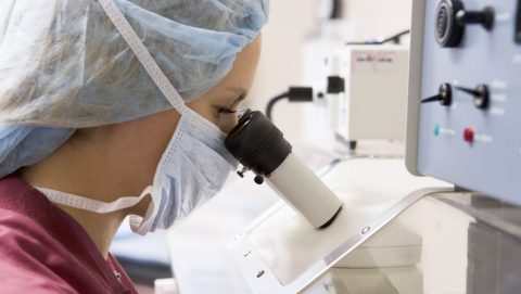 kutato-virus(1)(210x140)(2).jpg (kutató vírus)