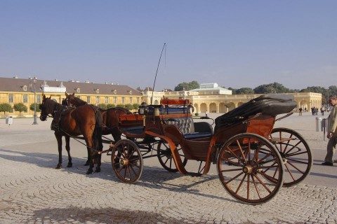 lovaskocsi(960x640)(1).jpg (lovaskocsi, )