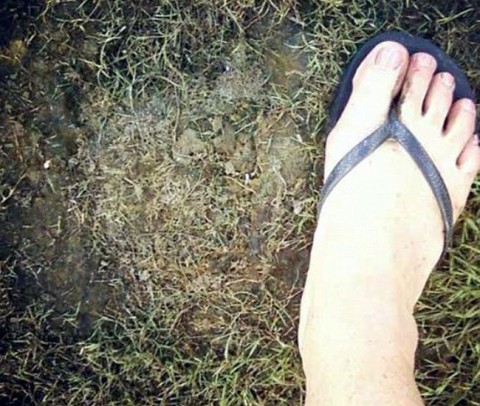 nagylábú (nagylábú)