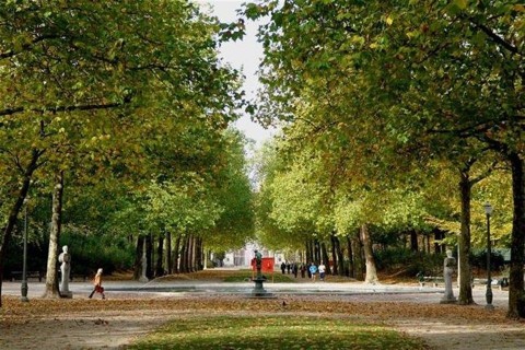 osz(1)(960x640).jpg (ősz)