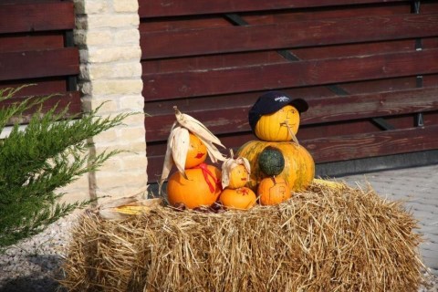 rácalmási tökfesztivál (tökfesztivál)