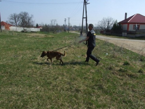 rendőrkutya (rendőrkutya, henrik)