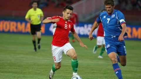 rudolf gergely (rudolf gergely, )