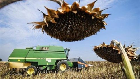 szarazsag(1)(960x640).jpg (szárazság, )