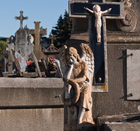 temeto(960x640)(2).jpg (temető, )