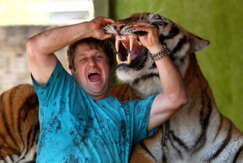 tigris (tigris, )