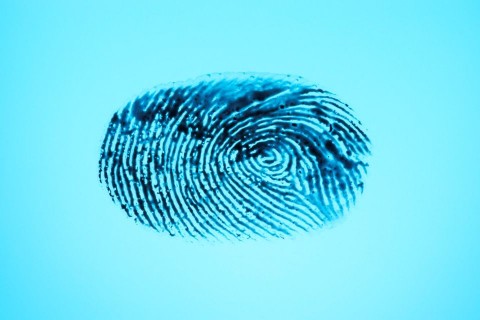 ujjlenyomat (ujjlenyomat)