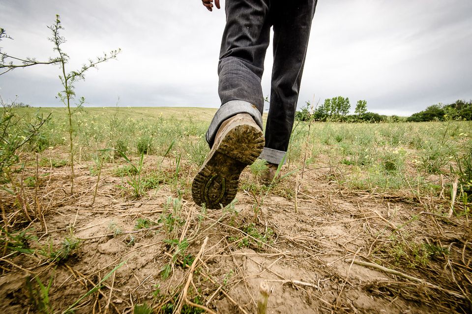 Bábonymegyer (Bábonymegyer)