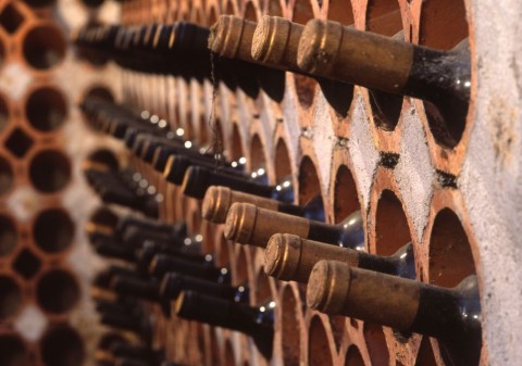 Boraszat(960x640)(3).jpg (borászat, )