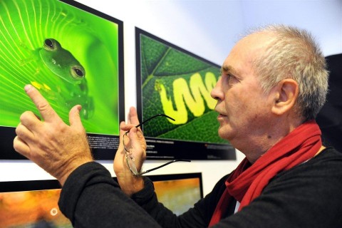 Eifert-Janos(960x640).jpg (eifert jános, az év természetfotósa)