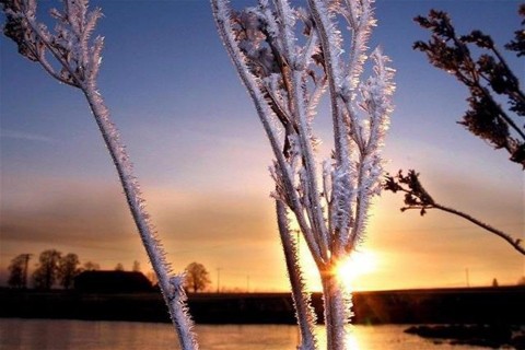 Fagy(1)(960x640).jpg (fagy)