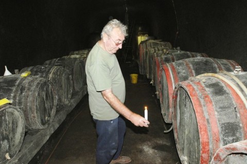 Mustgáz veszély (mustgáz, szüret, pince, veszély, )