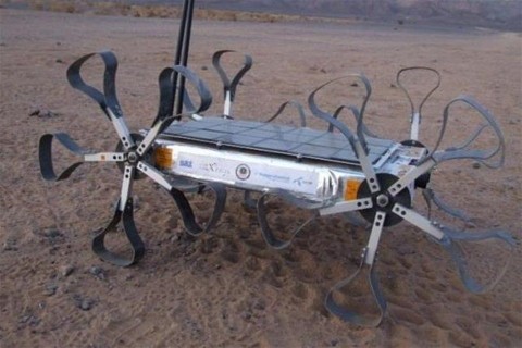 Puli-2(960x640).jpg (Puli 2.0 a Holdjáró)