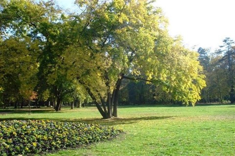 Szep-oszi-ido-Szegeden(960x640).jpg (Szép őszi idő Szegeden)