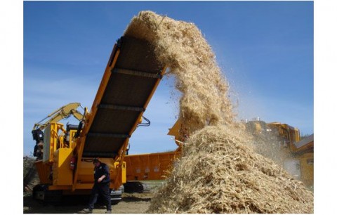 biomassza-eromu(2)(430x286)(2).jpg (biomassza erőmű)