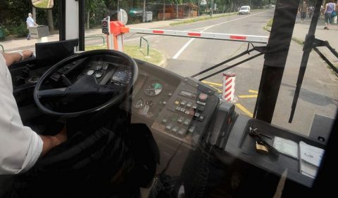 buszsofőr (buszsofőr)