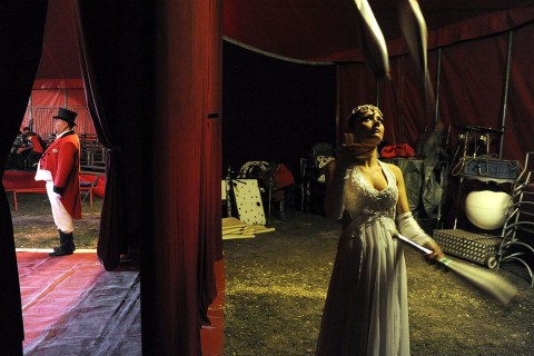 eötvös cirkusz (eötvös cirkusz, artista, )