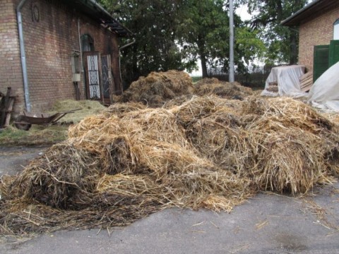 felgyújtott bála (bála, )