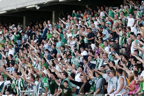 ferencvaros(960x640)(1).jpg (ferencváros, )