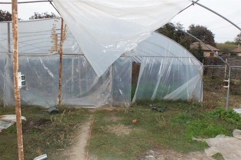 foliasator(960x640).jpg (fóliasátor, )