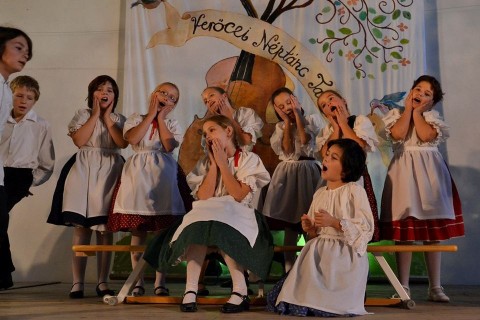 gyermek néptáncosok (verőce, néptáncfesztivál, iskolások, dunakanyar, )