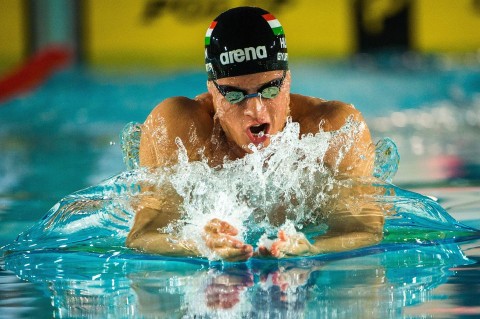 gyurta dániel (ingyenes, gyurta dániel, )