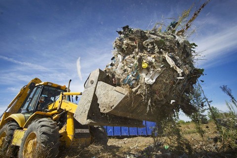 homlokrakodó (homlokrakodó)