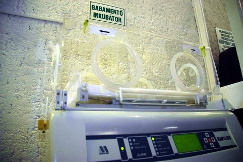 inkubator(960x640).jpg (inkubátor)