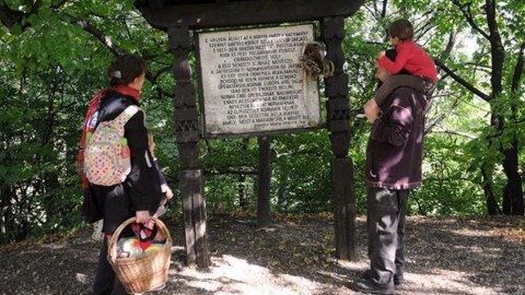 kirandulok-a-normafanal(960x640).jpg (normafa, kirándulók)