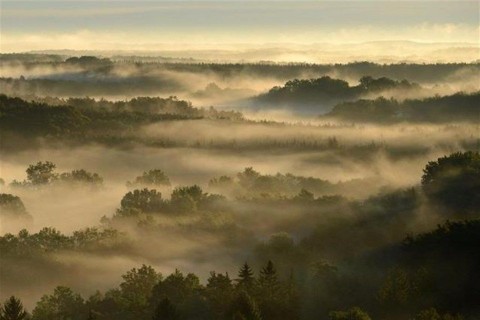 kodos-ido(1)(960x640).jpg (köd, időjárás, őrség, )