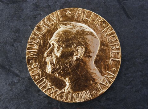 nobel-dij(960x640)(2).jpg (nobel díj)