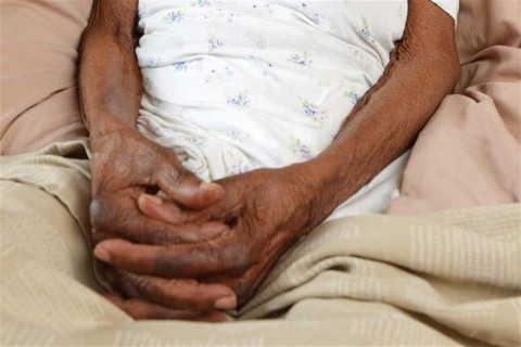 oreg(1)(960x640).jpg (öreg)