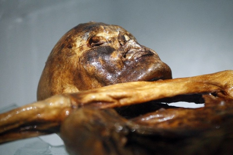 ötzi (ötzi)