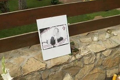 soroksar(1)(960x640).jpg (soroksár)