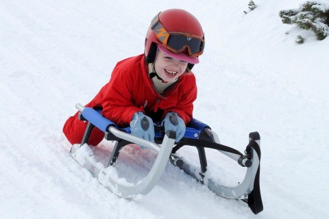 szánkó, tél, hó (szánkó)