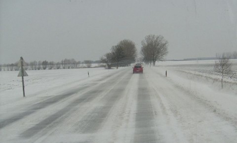 téligumi (téligumi)