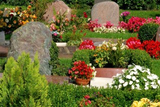 temető (temető, )