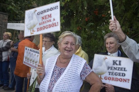 választás baján (baja, gordon, )