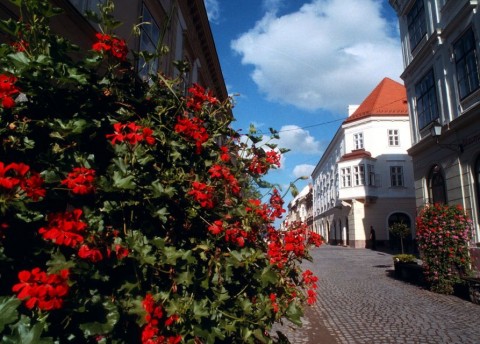 virágos magyarország (virágos magyarországért, legvirágosabb falu, zebegény, )