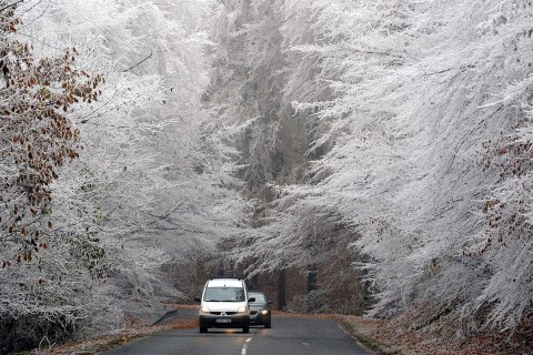 zuzmara-idojaras(960x640)(1).jpg (zúzmara, időjárás, ősz, fagy)