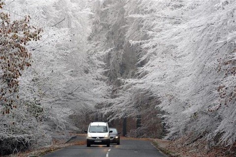 zuzmara-idojaras(1)(960x640).jpg (zúzmara, időjárás, ősz, fagy)