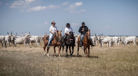 Hortobágy (hortobágy, )